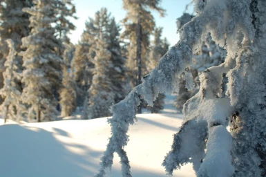 Фото-выставка "Волшебство в снежинках" 0