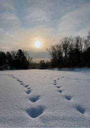 Фото-выставка "Волшебство в снежинках" 7