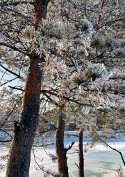 Фото-выставка "Волшебство в снежинках" 12