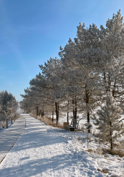 Фото-выставка "Волшебство в снежинках" 3