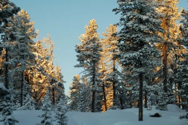 Фото-выставка "Волшебство в снежинках" 10