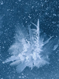 Фото-выставка "Волшебство в снежинках" 6